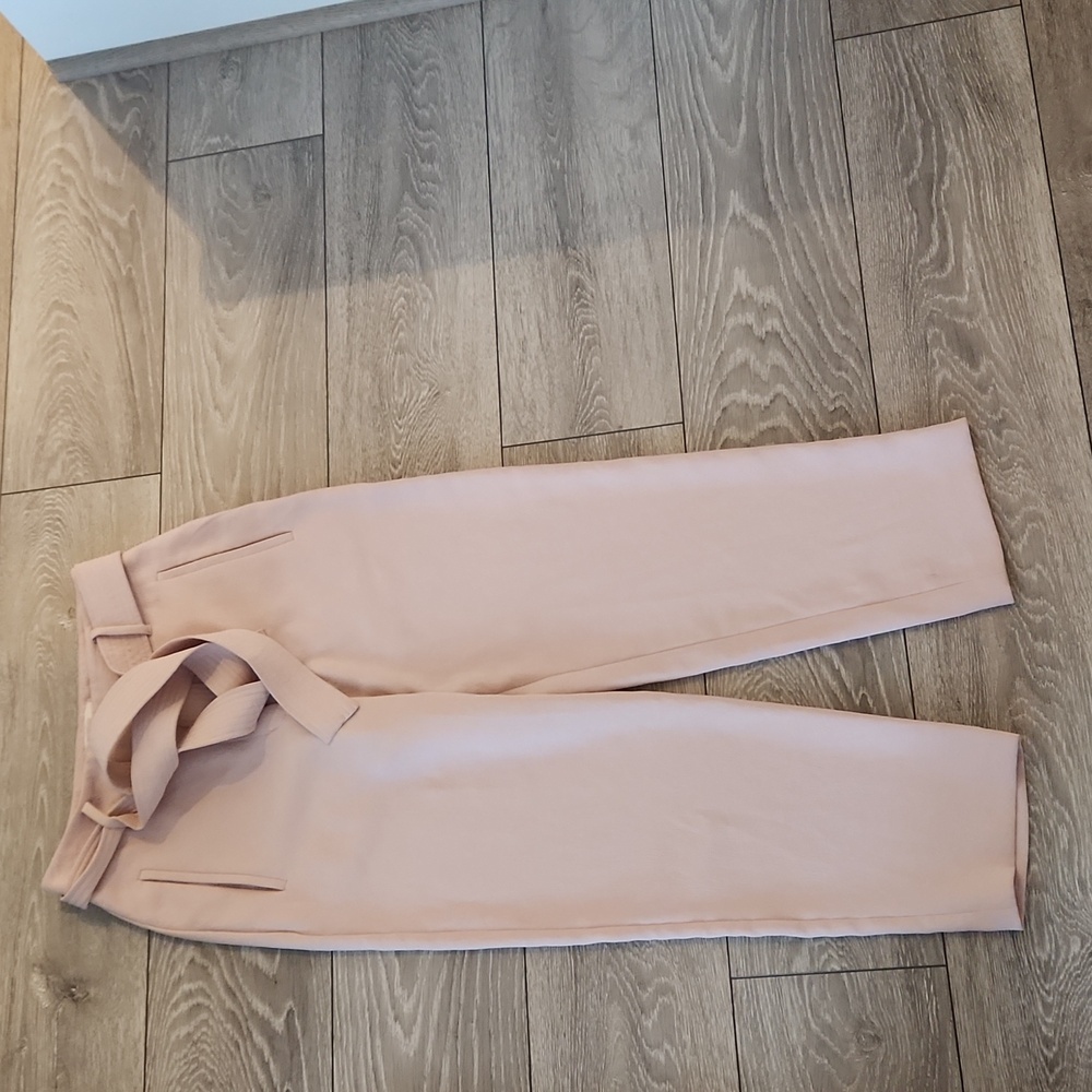 Aritzia pants